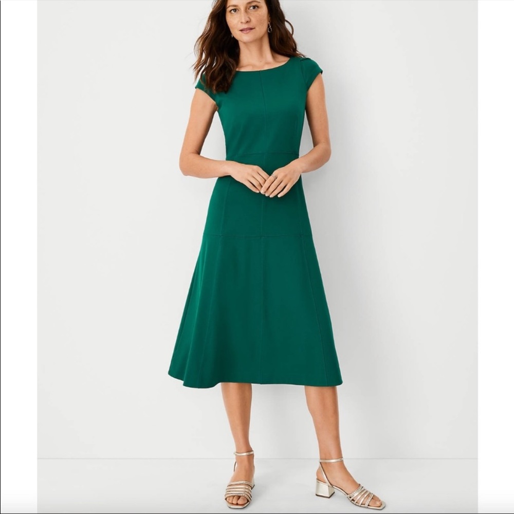 Ann Taylor Seamed Flare Dress - size 10